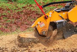 Best Organic Lawn Care Solutions  in El Dorado Hills, CA